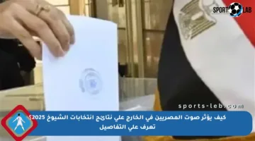 كيف يؤثر صوت المصريين في الخارج على نتائج انتخابات الشيوخ 2025؟ تعرف على التفاصيل